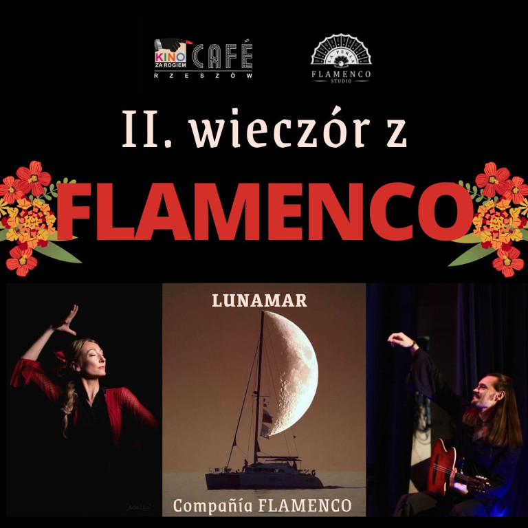 flamenco ii